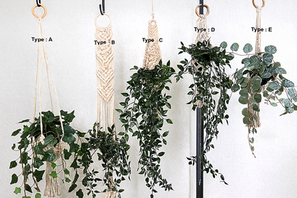 Eco-Friendly Macramé Plant Hanger – Handmade Cotton Hanging Planter for Boho & Sustainable Homes
